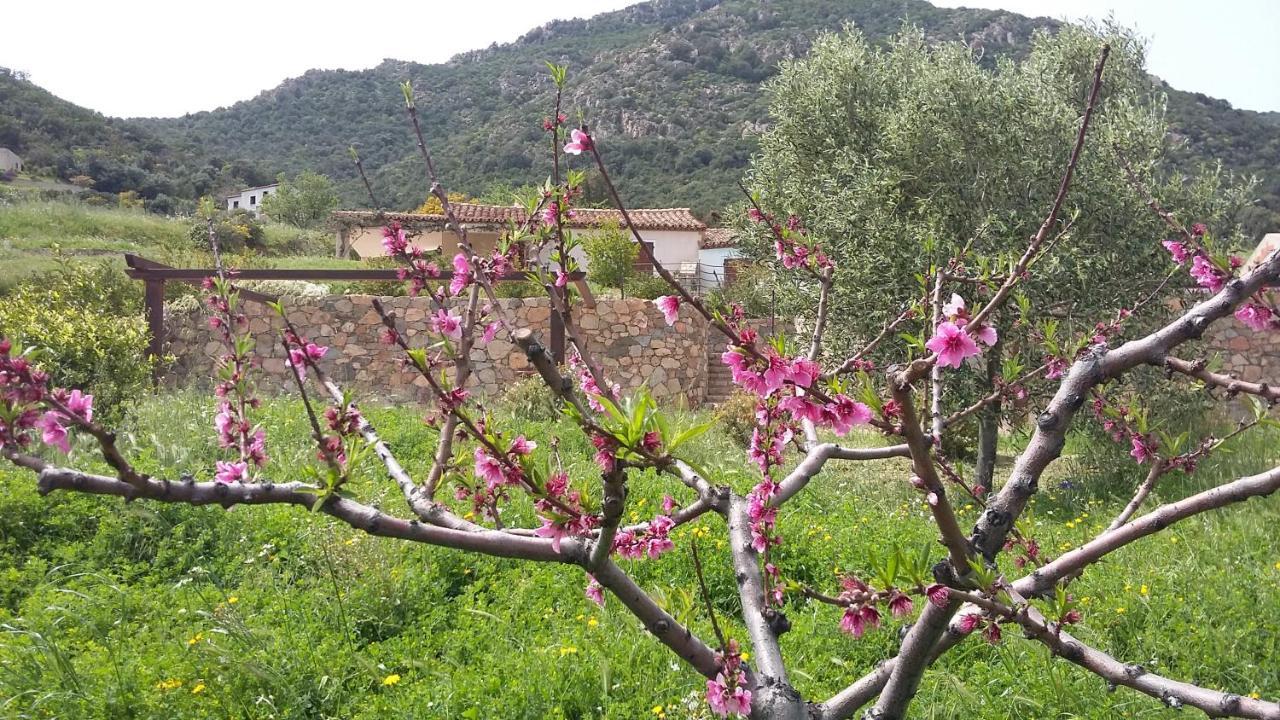 La Casetta Rosa Tertenia Exterior photo